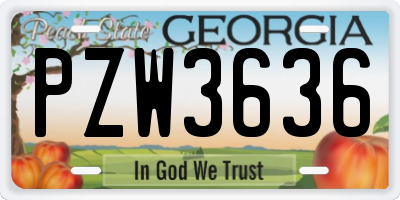 GA license plate PZW3636