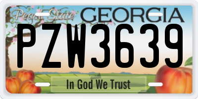 GA license plate PZW3639