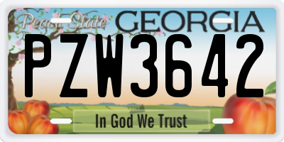 GA license plate PZW3642