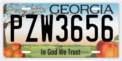 GA license plate PZW3656