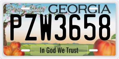 GA license plate PZW3658