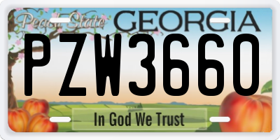 GA license plate PZW3660