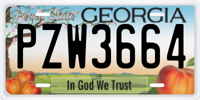 GA license plate PZW3664