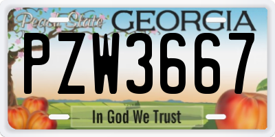 GA license plate PZW3667