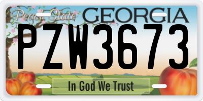 GA license plate PZW3673