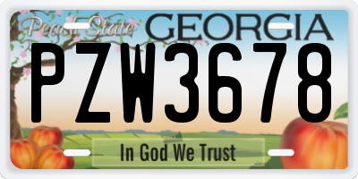 GA license plate PZW3678