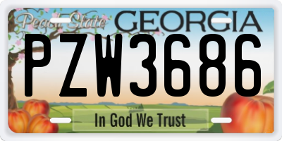 GA license plate PZW3686