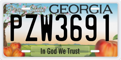 GA license plate PZW3691