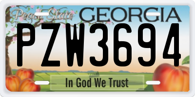 GA license plate PZW3694