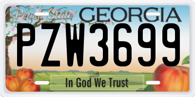 GA license plate PZW3699