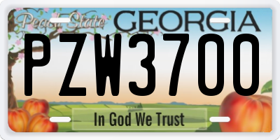 GA license plate PZW3700