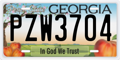 GA license plate PZW3704