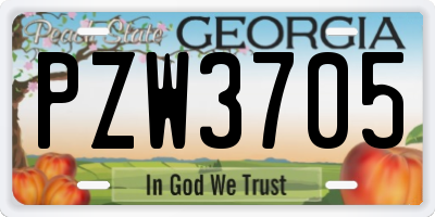 GA license plate PZW3705