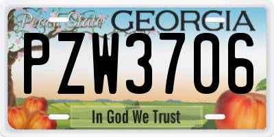 GA license plate PZW3706