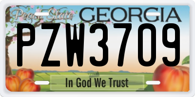 GA license plate PZW3709