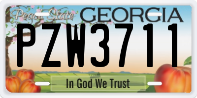 GA license plate PZW3711