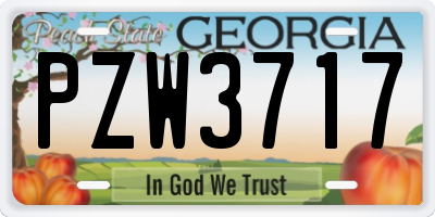 GA license plate PZW3717
