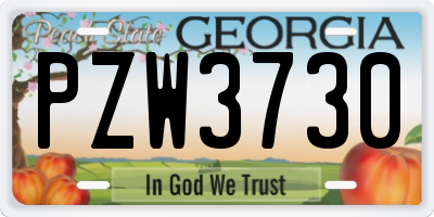 GA license plate PZW3730