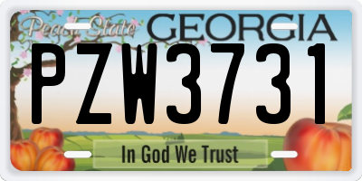 GA license plate PZW3731