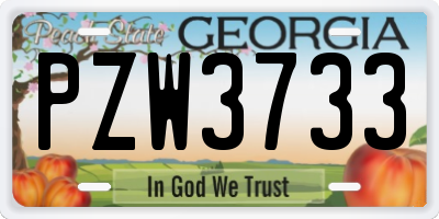GA license plate PZW3733