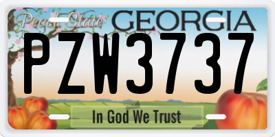 GA license plate PZW3737