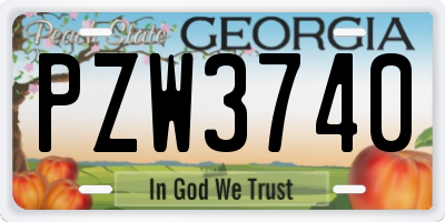 GA license plate PZW3740