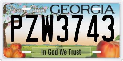GA license plate PZW3743