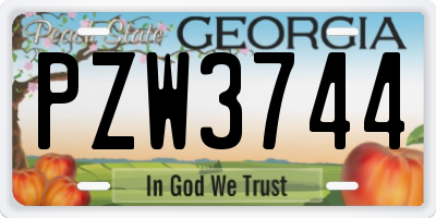 GA license plate PZW3744