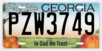 GA license plate PZW3749