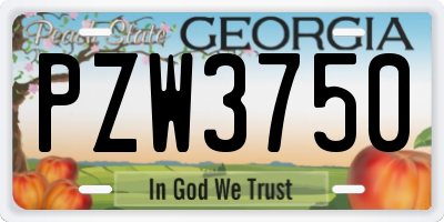 GA license plate PZW3750