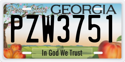 GA license plate PZW3751