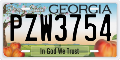GA license plate PZW3754