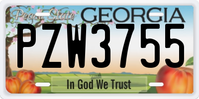 GA license plate PZW3755