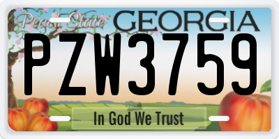 GA license plate PZW3759