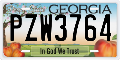 GA license plate PZW3764