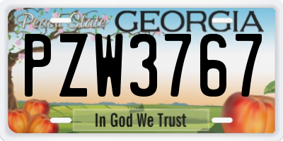 GA license plate PZW3767