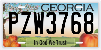 GA license plate PZW3768