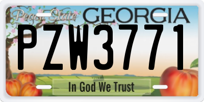 GA license plate PZW3771