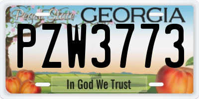 GA license plate PZW3773