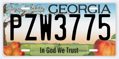 GA license plate PZW3775