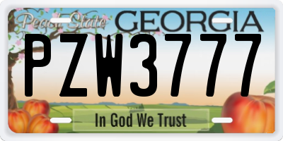 GA license plate PZW3777