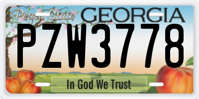GA license plate PZW3778