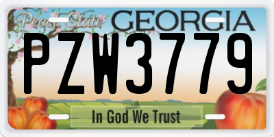 GA license plate PZW3779