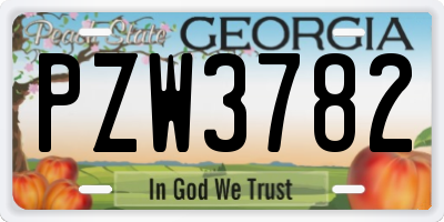 GA license plate PZW3782