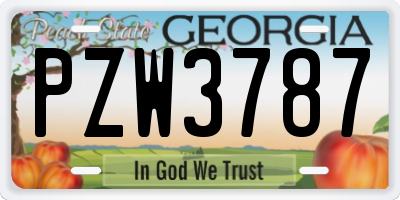 GA license plate PZW3787