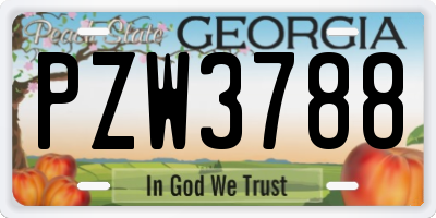GA license plate PZW3788
