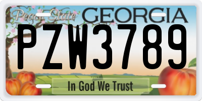 GA license plate PZW3789