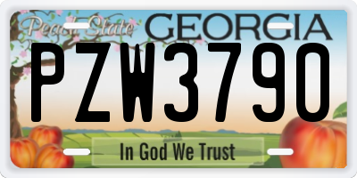 GA license plate PZW3790