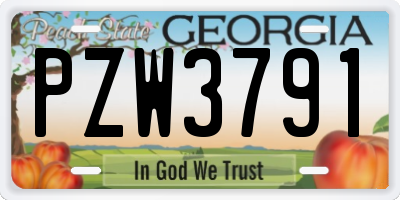 GA license plate PZW3791