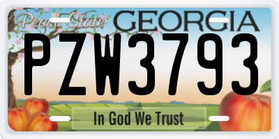 GA license plate PZW3793